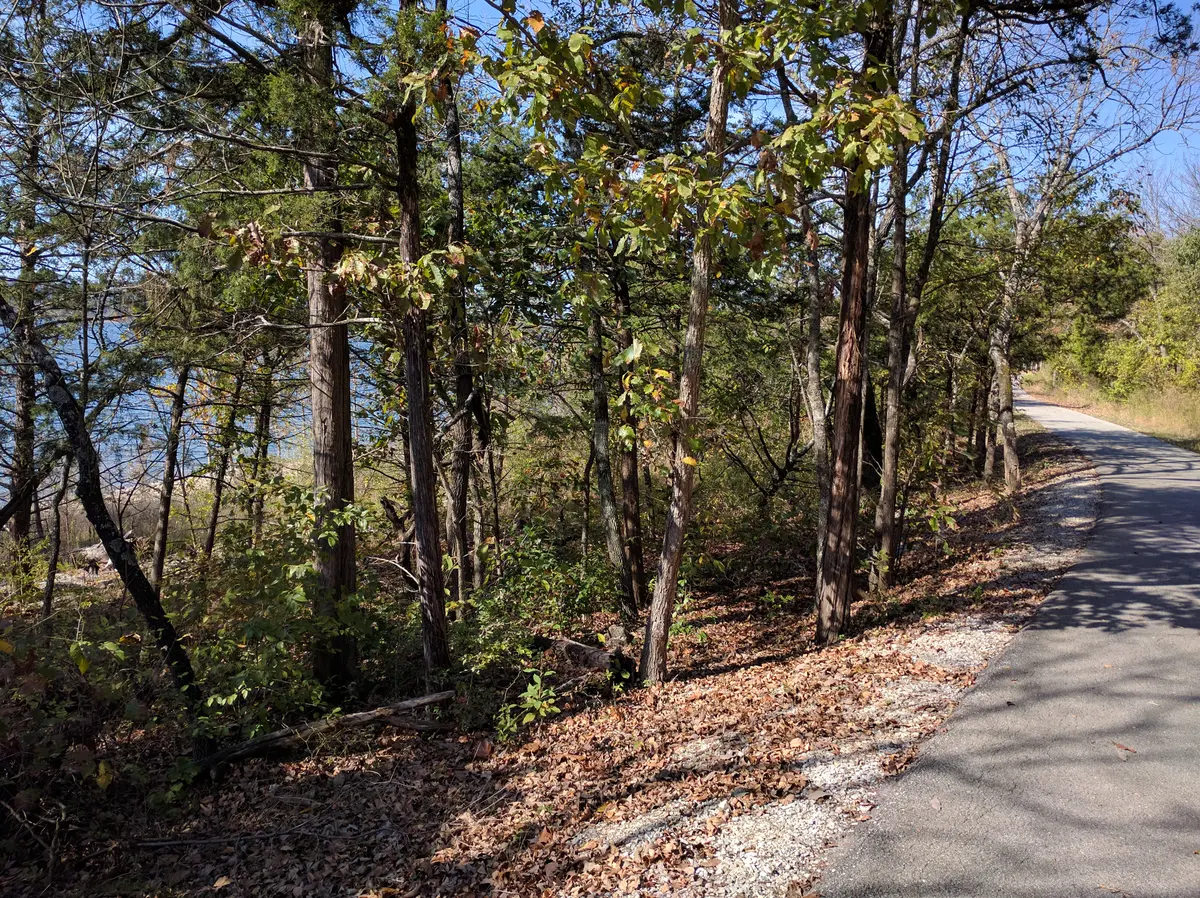 A tree-lined path along the Table Rock Lake shoreline